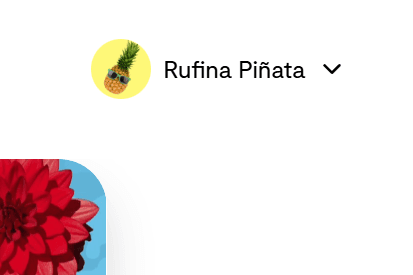 Closed menu showing avatar
