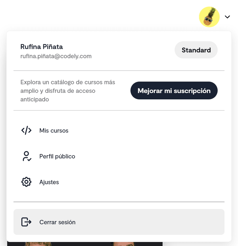 Sub Standard, mostramos CTA para que puedan acceder a los cursos exclusivos Premium