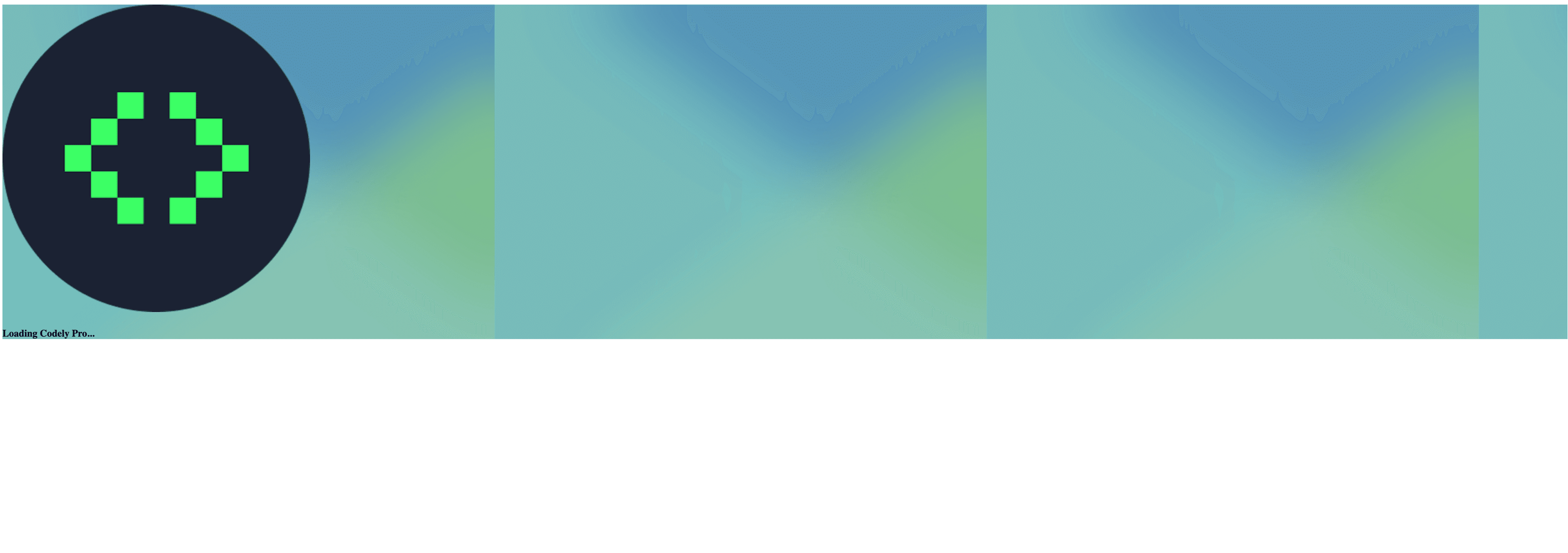 Pantalla de carga de Codely Pro con el texto "Loading Codely Pro..."